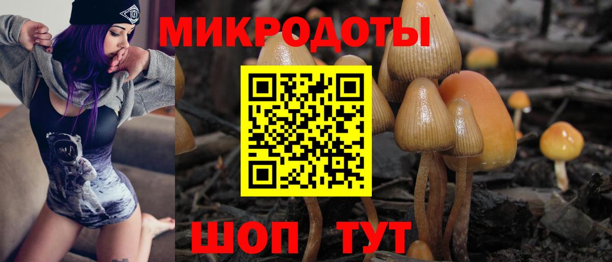Шадринск  Галлюциногенные грибы Psilocybe  Галлюциногенные грибы прущие грибы  Вход с VPN 